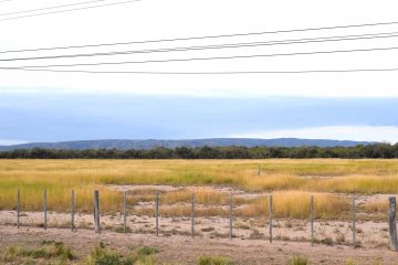 altos_de_las_granjass_todoloteos_san_luis (1)