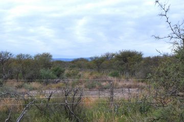altos_de_las_granjass_todoloteos_san_luis (4)